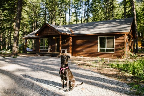 We love our furry friends at Willow Wood!