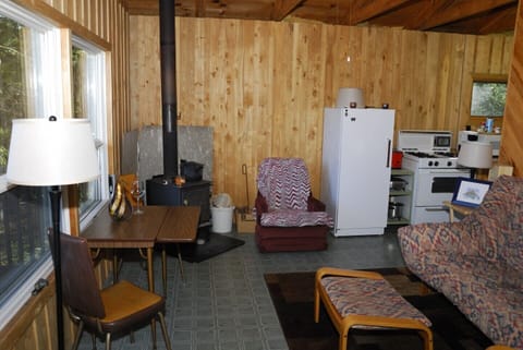 Living room with wood stove