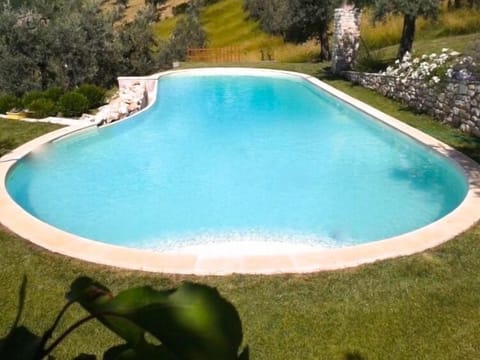 The salted heated pool looking east and the olive trees.