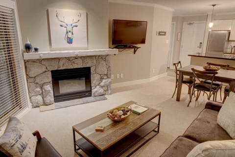 Seating area with gas fireplace and cable TV