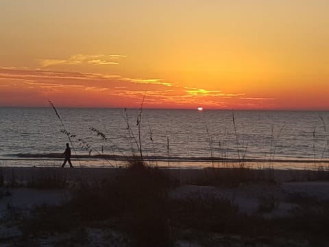 Don't miss a sunset! Experience Lido's sunset as the sun dips below the Gulf!