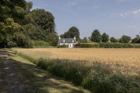 Garden Cottage, Teviot Bank - the surrounding trees and rolling fields