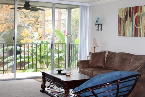 Living Room with sleeper sofa