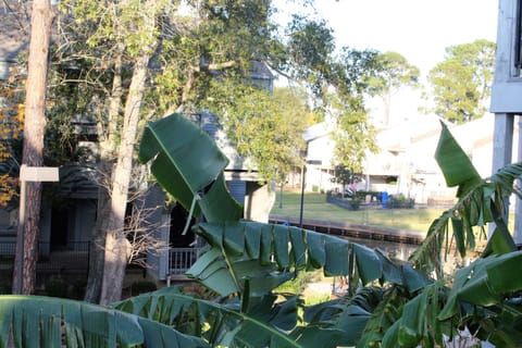 View of canal from balcony