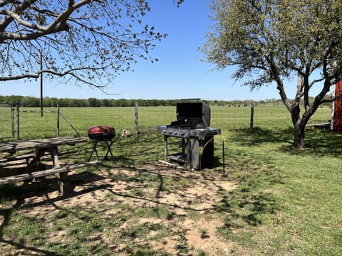 Two grills-propane provided, bring Charcoal.