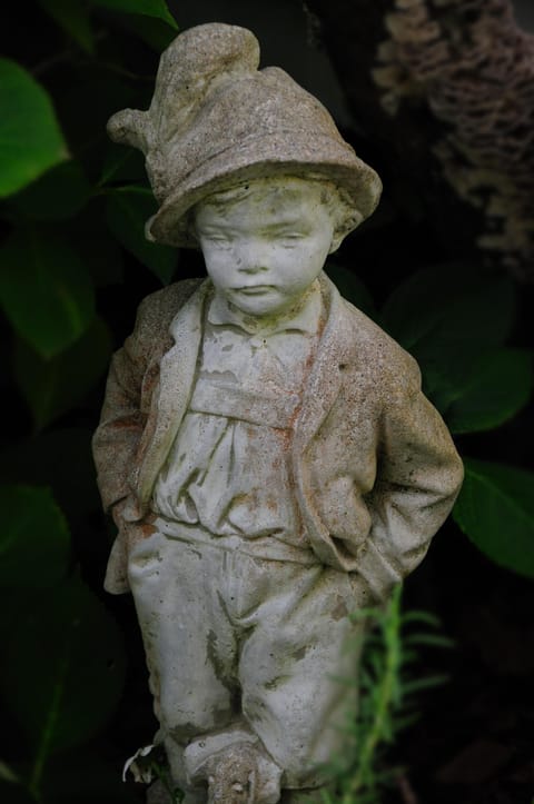 must be clemons waiting for you in the garden