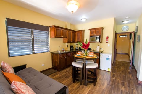 Fully Equipped Kitchen and Queen size futon