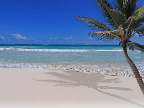 You Have Arrived To Paradise...