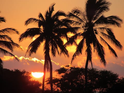Paradise Found!
View from resort.
