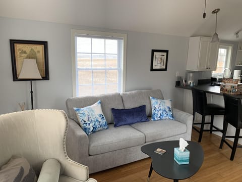 Living Room Sleep Sofa.