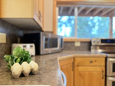 Basic spices for cooking provided.
