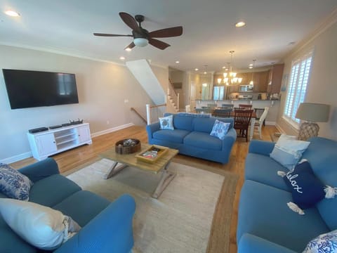 BLUE FURNITURE COVERS/ "CHEETO PROTECTORS"