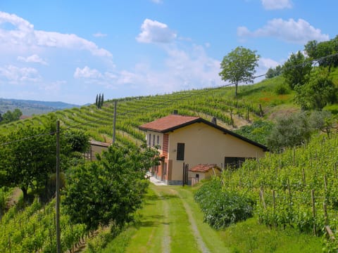 La cascina - The farmhouse