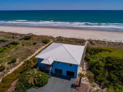 Welcome to Polly's Place