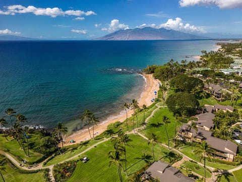 Ulua beach, premier snorkeling spot, steps from your pool