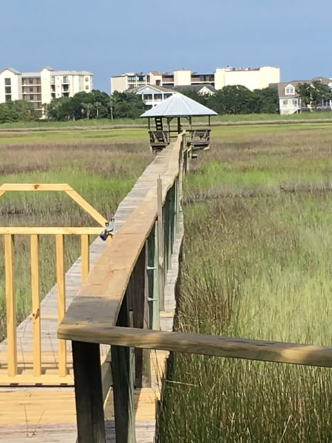 View of Dock