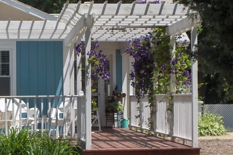 Pergola with blooming flowers welcome guests.