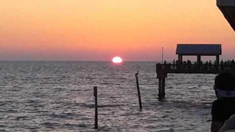 Sunset at Pier 60. 7 minute walk from the Condo.