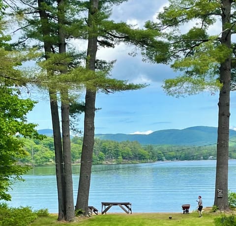 The front yard view!