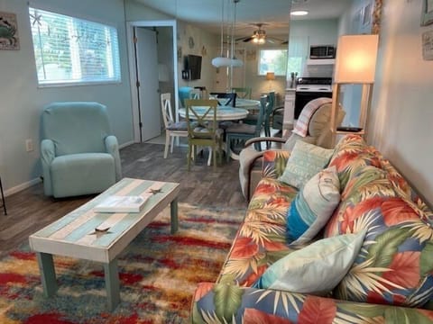 Living room with sleeper sofa