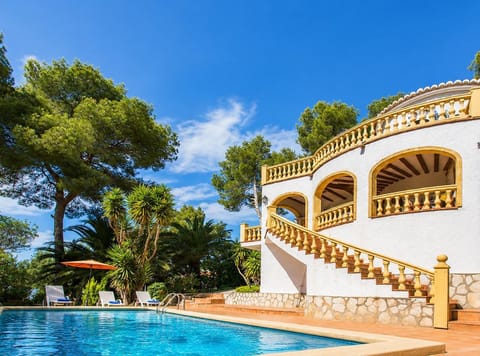 Garden and swimming pool