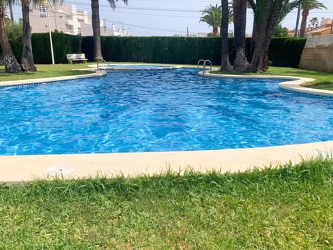 Swimming pool view