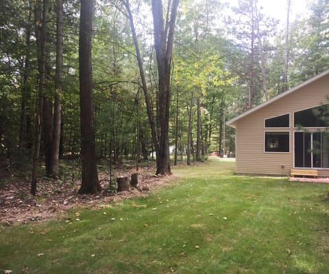 Beautiful wooded backyard