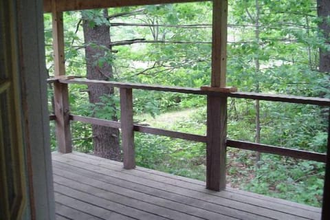 Acres of beautiful forest