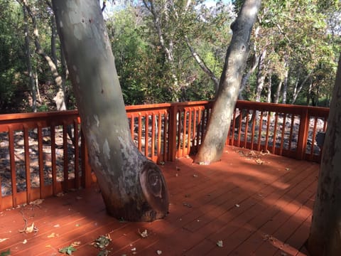Gorgeous "over the creek" tree canopy deck.