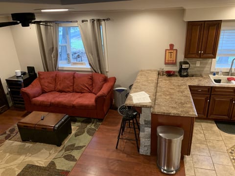 Open concept living room / kitchen