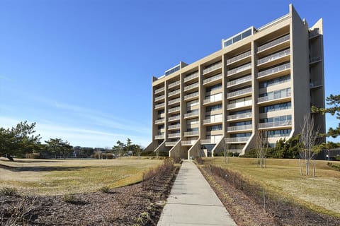 Amenity,North Shores Front Elevation,