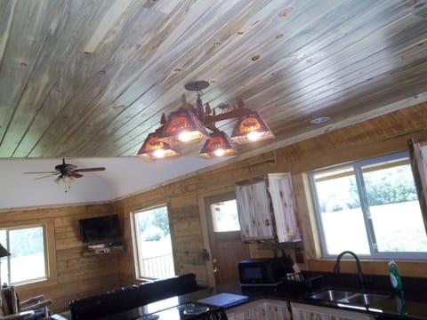 Picture of custom made light fixture and beetle kill pine paneling.