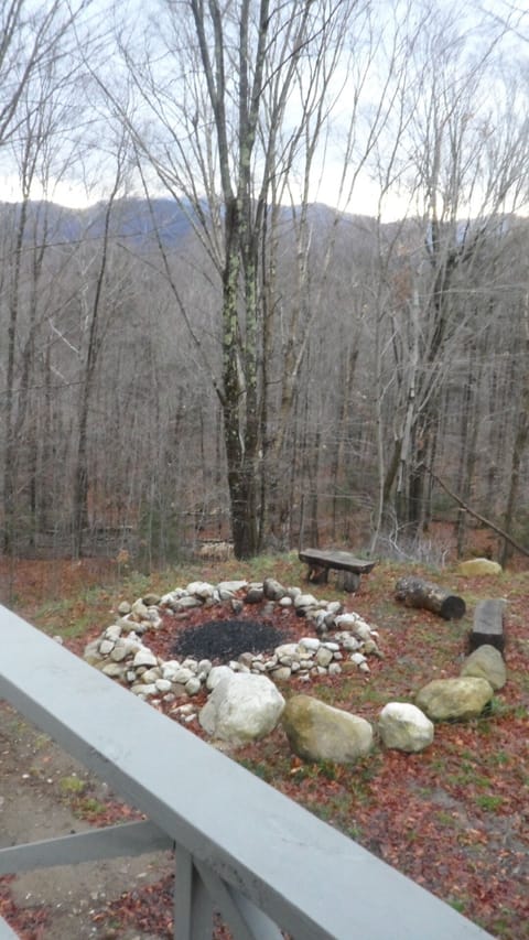 Outdoor fireplace from back deck (late fall) 