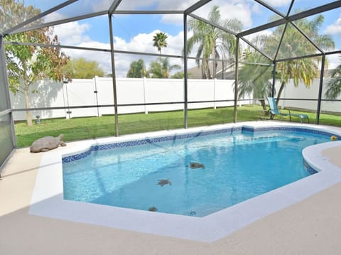 Pool view showing specialty turtle tile inlays.