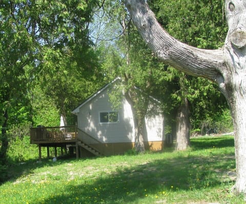 The Pine Cottage