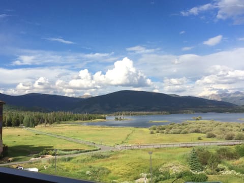 The view!
