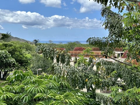 Front patio lanai ocean view