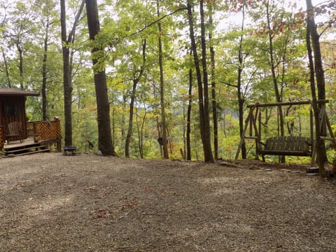 Large driveway with view of Mt. Leconte. We have a fire pit and swing.