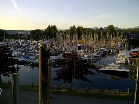 Typical summer view from our 3rd floor balcony