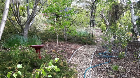 garden to walk and relax 