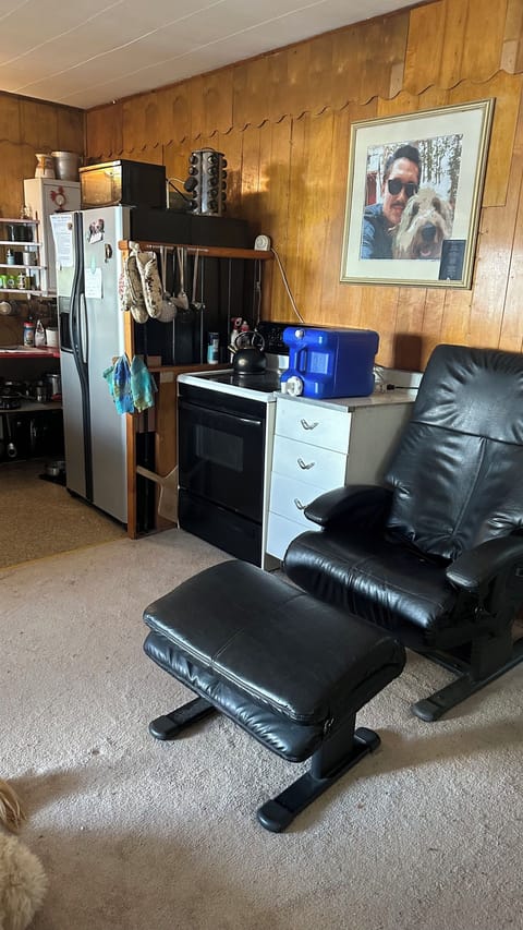 Sharper Image massage chair: rolling, kneading, vibrating, pointing,  tapping.