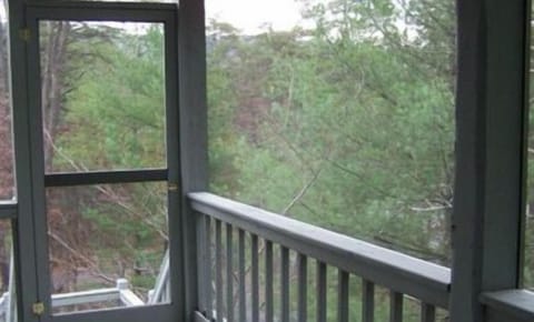 Screened Porch with Mountain View