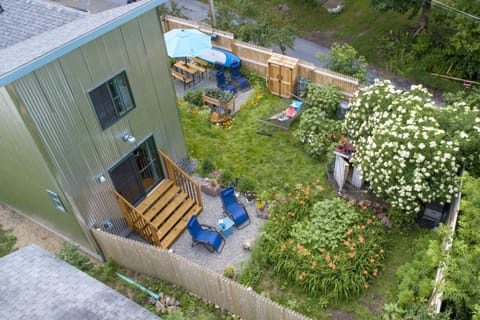 River House and its tiny garden from above.