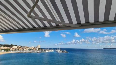 Beach/ocean view