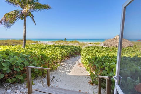 Gulf of Mexico View