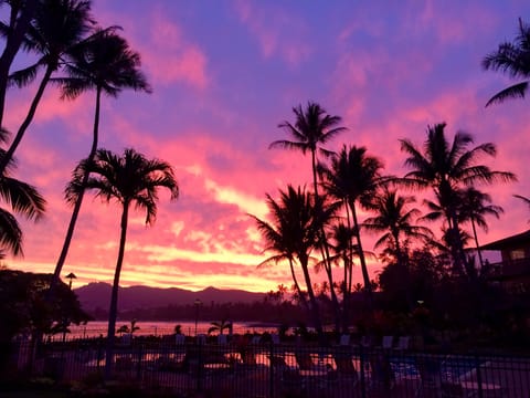 Your Kauai sunset vacation is at your finger tips. 