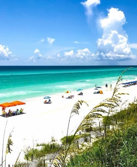 Emerald waters and sugar white sand!