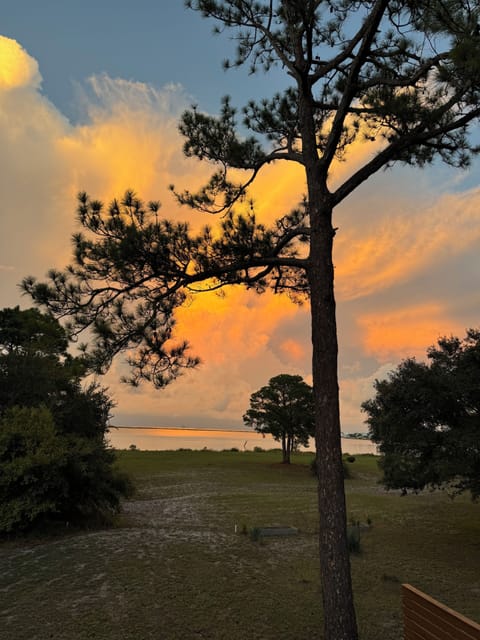 View from the deck