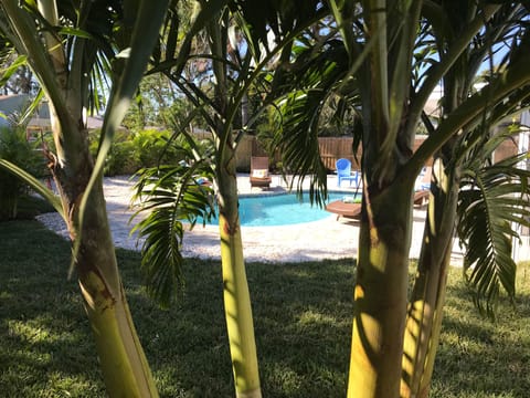 Pool area with tropical landscaping!