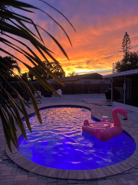 No filter needed! Backyard Oasis 
